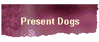 Present Dogs