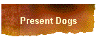Present Dogs